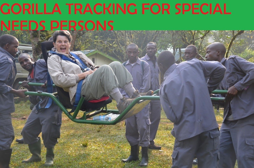 special-needs-safaris-gorilla-tracking